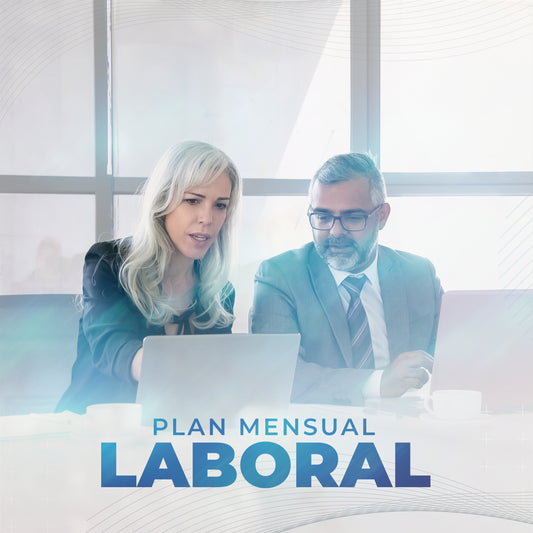 Plan Mensual Laboral (iva incluido)